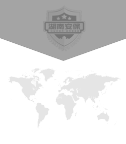 湖南安保集团有限公司